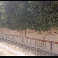 بيت للبيع • دور النفط المركز الثقافي • ٤٠٥م