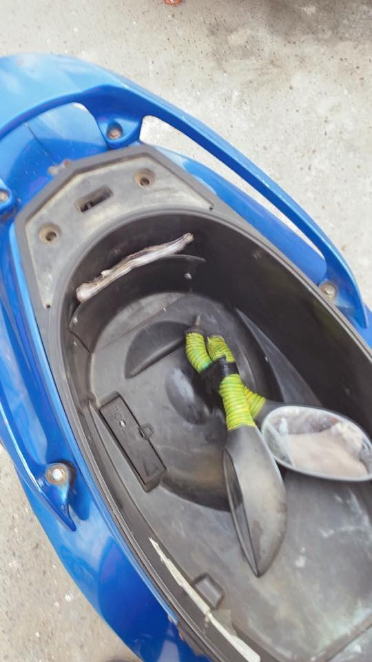 السلام عليكم جي تي ار للبيع قبل ٣ اشهر نزلتها رمبه بيدي كامله من كلشي مابيها اي نقص مكينه مفولة برغي ممفتوح بيها مكاني بغداد حي الجهاد 
السعر مليون وخمسين وبيها مجال ***********
