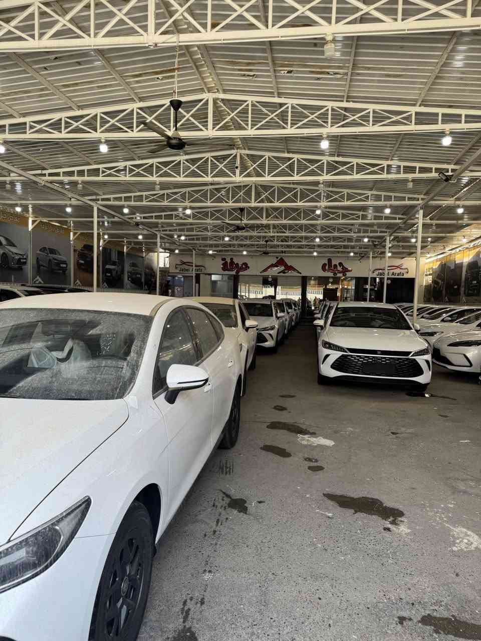 السلام عليكم متابعين معرض جبل عرفه 

عروض الجن بلاص ابيض داخل زيتوني 

19 مليون صافي بدون دلاليه 
غراض كامله 

العنوان معارض الكريعات 

***********
