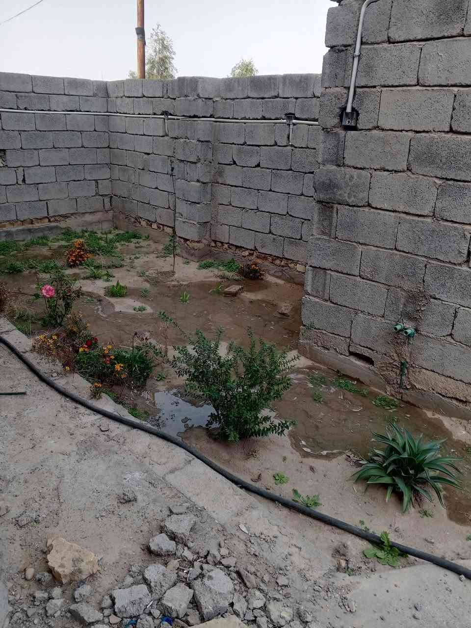 دار للبيع منطقة ابو حلاوة خلف داءرة المرور موقع مميز مقابيل البيت خدمات حديقة بل مرتسم المساحة 200متر للستفسار ***********
