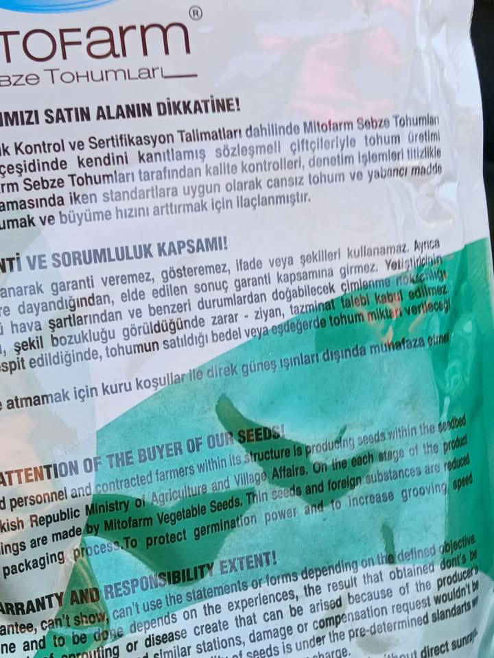 يوجد لدينا بذور بانيا فرنسيه بنت القوطيه الربعينيه؛   نتاجيه خير من الله  وخيار طرحي سباني متعهد *********** تريد ستندر شركه تريد بزاره امانت الله  مضبوط ولوبيه يطالي ستندر شركه
