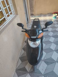 سبيسي • ياباني • مجال قليل