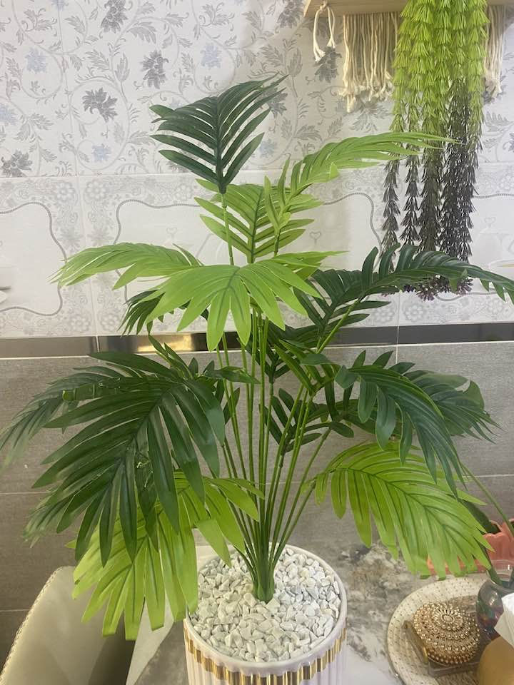 شجره السايكس يتوفر خدمه توصيل 🚚


**إذا كنت صاحب هذا الإعلان وتريد حذفه لأي سبب، رجاءا أرسل رسالة إلى الدعم الفني**