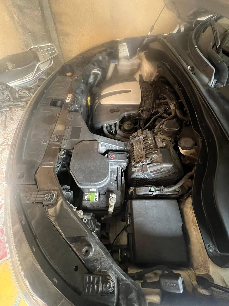 السياره سورنتوو وارد خليجي 7راكب 
رقم الانكليزي الجديد تحويل مباشر باسم المشتري
موديل ١٤  ٦سلندر مكفوله من الصبغ والضربه 
السياره على وضع الشركه رقم بغداد بصمه 
 بصمه تشغيل  بصمه ابواب 
كامرة خلفية كرسي كهربائي 
السياره برغي مامفتوح بيها  محرك 3500 
تبريد 3 قطع  
السياره جديده وبيه بعد مواصفات خير من الله
السعر 200 ورقه قفل من الاخير 
السيارة موجوده بكربلاء
 للاستفسار الاتصال على الرقم ***********
