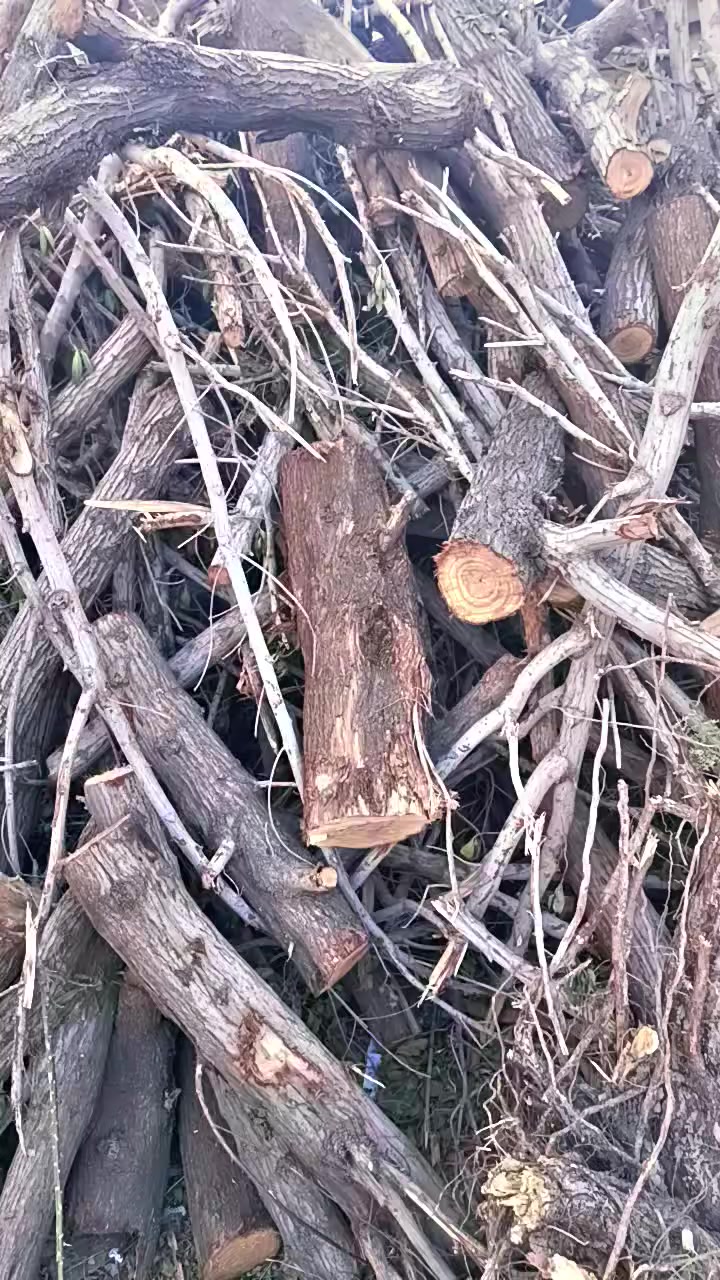 حطب شوي للبيع ***********
