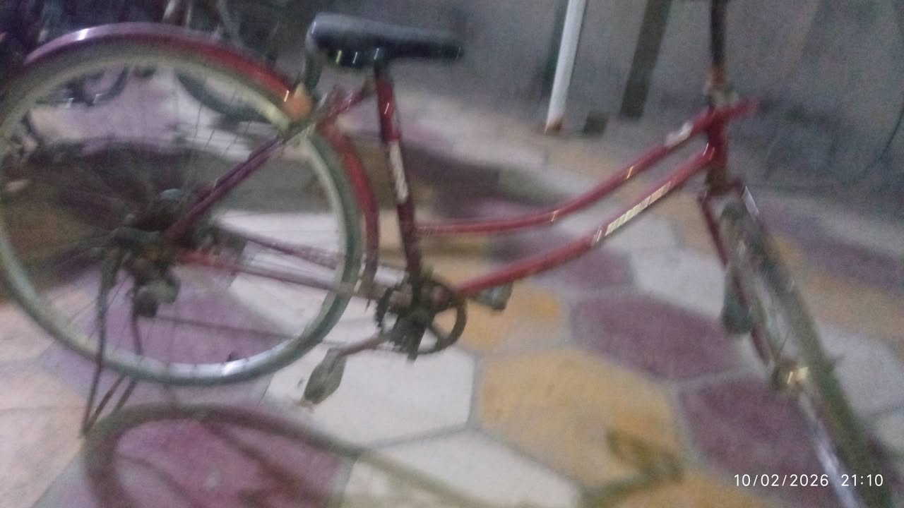 🔥 للبيع بايسكل حجم 26 🔥
✅ نوع صيني

✅ يمشي طبيعي

✅ مناسب للاستخدام اليومي

✅ السعر مناسب

📍 المكان: الحلة#🔥 للبيع بايسكل حجم 26 🔥

✅ نوع صيني

✅ يمشي طبيعي

✅ مناسب للاستخدام اليومي

✅ السعر مناسب

📍 المكان: الحلة

💰 السعر: 75ألف قابل للتفاوض 

ملاحظه البايسكل بي عطلات 

1 البريك 

2 الماشه 

3 البايدر راخي 

مو بعدين من تجيني اتكلي ما كايل بل المنشور


**إذا كنت صاحب هذا الإعلان وتريد حذفه لأي سبب، رجاءا أرسل رسالة إلى الدعم الفني**