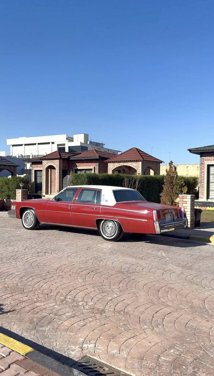 فليتوود بروغهام
موديل 1977 سياره ماشيه حقيقي 92 ميل ع وضع الشركه بدون تعمير فقط سياره مصبوغه ابمركيا دواخله كله ع بلاد 

كير محرك تبريد صدر تايرات  كله بل الشرط سقف بلادي ابيض جلد مكتوب بل السنويه السياره جاهزه من كل نواحي ترايك من فاوه لزاخو 

موصفات سياره كير اتو جامات كهربائي اريل اوتو 

صندوك شفط كشنات كهربائي مسجل سي دي ياخذ 10 قرس كله شغاله 

مكان سياره كركوك واللاستفسار *********** السعر تعال خاص تشلع عيوني
