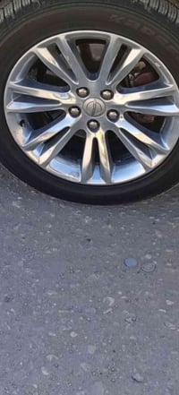 ابو ختم • مكسيكي • السماوه