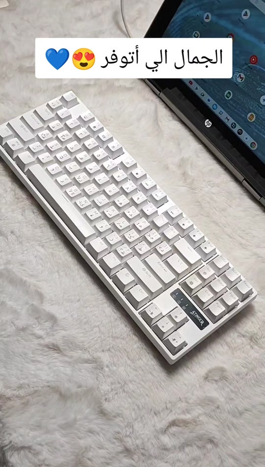 جمااااال 🤦‍♀️🥹🫡🫰🫰🫰 للحجز واتساب 🧩*********** هذا الكيبورد خيار ممتاز للاعبين (Gamers) أو من يبحثون عن مظهر جمالي (Aesthetic) للمكتب بفضل إضاءته القوية وتصميمه الأنيق🫣😍 كيبورد ميكانيكي بلو سويتج💙 مودات RGB متعددة 💯 سويجات و كيكابس قابلة للتغير 😭😭✅ السعر 28 الف 🔥 يتوفر توصيل لجميع محافظات العراق 🇮🇶  . . #كيبوردات_قيمنق_أحترافية #كيبورد_ماوس #كيبوردات #كيبورد_ألعاب #كيبورد_ميكانيكي 

