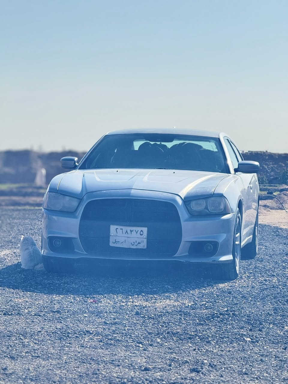 السلام عليكم 
دوج جارجر موديل 2011 
رقم اربيل 
موصفات عاديه شاشه كبيرة 
السياره بدون حادث دواخل مكفول حادثه سرقه قطعتين وهنا باب سائق بدلت نرماده مالته يعني 
سعر 135 مكاني كربلاء
***********
