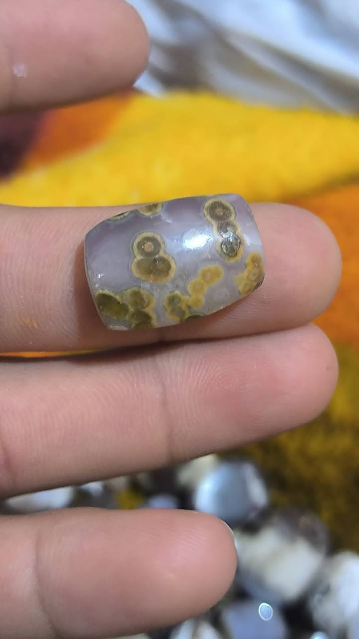 داودي يماني ملكي قطع تخبل اسعار مناسبة تعال خاص وبخدمتك


**إذا كنت صاحب هذا الإعلان وتريد حذفه لأي سبب، رجاءا أرسل رسالة إلى الدعم الفني**