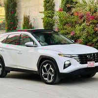 التيما • ٢٠٢٣ • رقم السليمانية