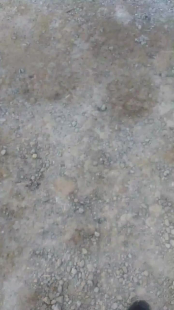 خمسين متر للبيع لغزاليه شارع لمركز لصناعه طابو صرف بسمي الوجه خمسه ولنزال عشره رقم الهاتف واتساب بيه ***********
