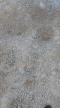 الغزالية شارع المركز • ٥٠م • طابو