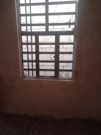 يوميتي • متفرغ • لبخ اسمنت جص