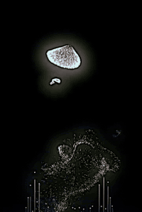 الببع سكنر صايره 15 يوم من معمره اليرته يراسلني بخدمت شراي رقمي ‏‪0787...