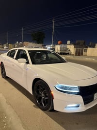 جارجر رالي بلص • ٢٠١٧ • رقم اربيل