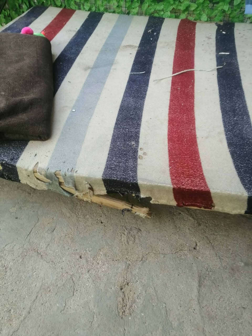 مكلف بنشر بسعر مناسب


**إذا كنت صاحب هذا الإعلان وتريد حذفه لأي سبب، رجاءا أرسل رسالة إلى الدعم الفني**