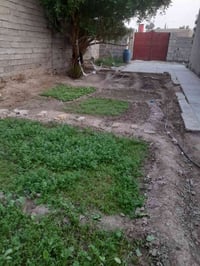 بيت زراعي • حي المنتظر الثاني • ٢٦٠م