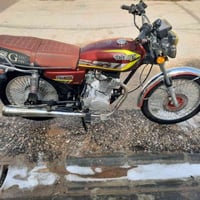 سولنك ايراني • موديل 25 • أوراق كاملة