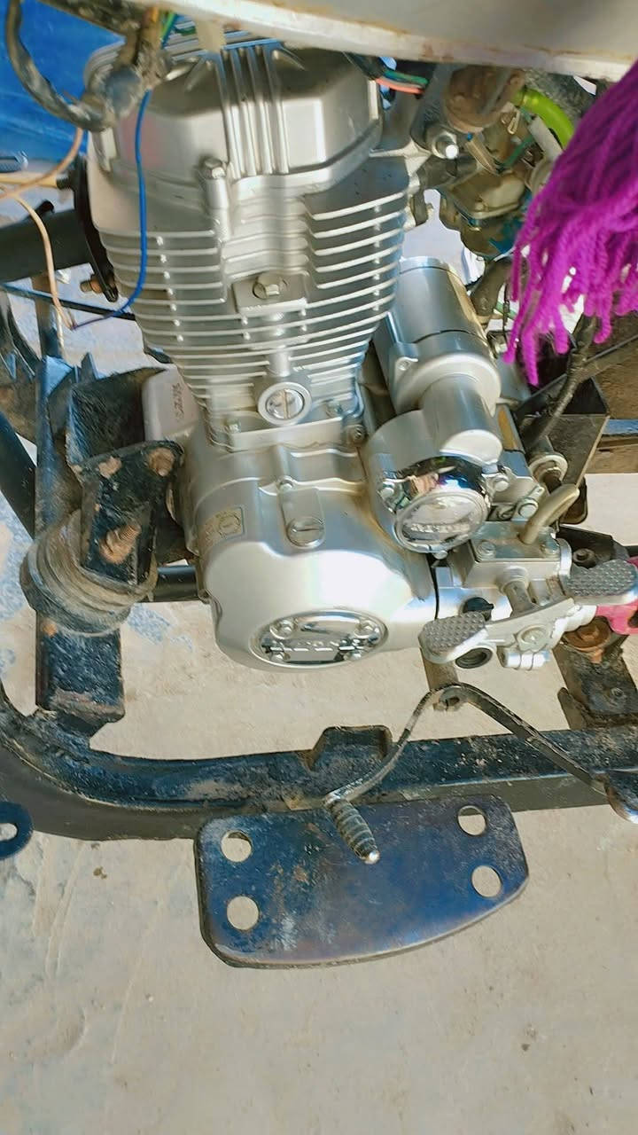 ستوته كفاله للبيع


**إذا كنت صاحب هذا الإعلان وتريد حذفه لأي سبب، رجاءا أرسل رسالة إلى الدعم الفني**