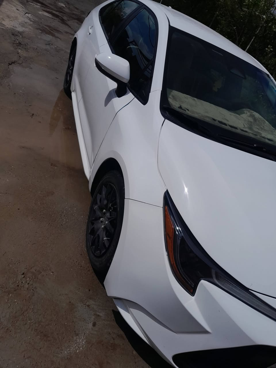 كورلا وارد امريكي موديل ٢٤ اني استوردتها قبل ستت اشهر  وسجلته شهداء بأسمنه وكاله عامه للمشتري سنه ونص وتصير حره سياره مال جناي جديده على ايدي غلفت ارضيه وكشنات ودشبول وحتى الجنطه غلفته ضرر بسيط بدون ايرباك بدون دواخل فقط راس البونيد موضح كلشي بالفديو والصوره ومايحتاج احجي مواصفات معروفة Le 

وبلاش للجناي سعرها ١٤٨ ترايك وين ما تريد تفحص والف مبارك للمشتري 
لو مو سيارتي والله جان اشتريته 
ههههههه

ناحيه الزويه 
***********
***********
