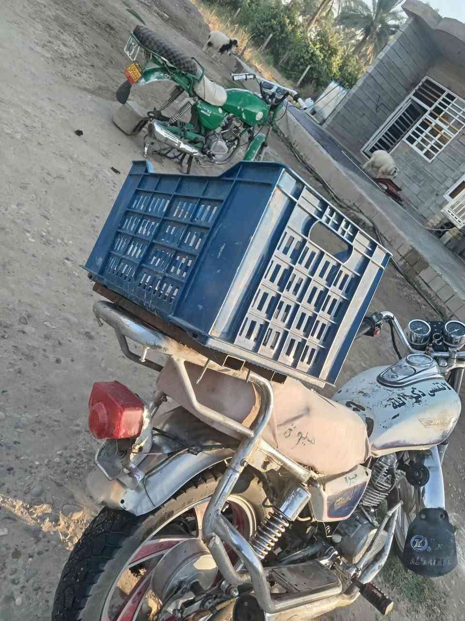 سلام عليكم جني للبيع محرك لا تنقيص ولا تبخير كهربائيات كله شقاله السعر 225
وبه مجال هاذ رقم دك وتدلل***********
مكانه جويزرات قرب بلد
