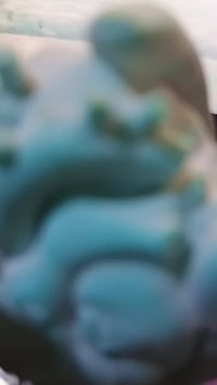 تحفيات العيد • ديكور منزلي • قطع فخمة