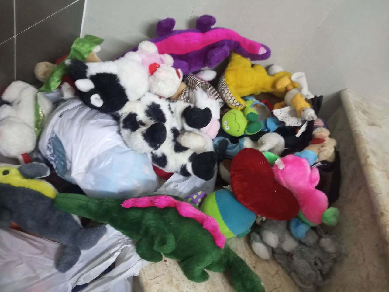 غراض بيت نضيفه مكاني خطيب


**إذا كنت صاحب هذا الإعلان وتريد حذفه لأي سبب، رجاءا أرسل رسالة إلى الدعم الفني**