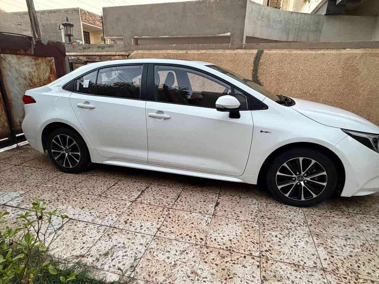 كورلا خليجي هايبرد الشكل الامريكي موديل 2024 ماشيه(28) الف
فول مواصفات. جلد. كشن السائق كهرباء . بصمه. سلايد روف . قياده ذاتيه. توقف ذاتي . هاندبريك بصمه . وبقيه المواصفات المعروفه مكفوله من الصبغ والضربه بيه بارد 4 اصابع بالداير مال جاملغ الامامي الايمن وبيه طخه بسيطه جداً شبر جوه اليده مال باب الامامي عكس السائق عايفه على وضعه وكم رصعه السياره كير ومحرك وتبريد وصدر جديد جداً داخل السياره جلد لون مميز جكليتي سعر السيارة (148) ورقه وبيه مجال مكان السياره بغداد حي الجامعه ***********
