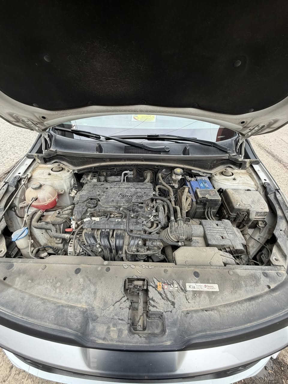 السلام عليكم شباب سبوتج موديل2023 خليجي كفاله سياره مجرد شبر بارد بلباب لي بصف سايق سياره فول 1/1 بصمه تشغيل  ؏ـَن بــ؏د بنروما مكينه دوش 2000 جنطه كهرباء كشنات تدفئه تبريد تحكمات ستيرن تحديد مسار 3 وضعياد قياده سبورت ويكو ونور مان مكان سياره بغداد السعر 220 الهاتف ***********
