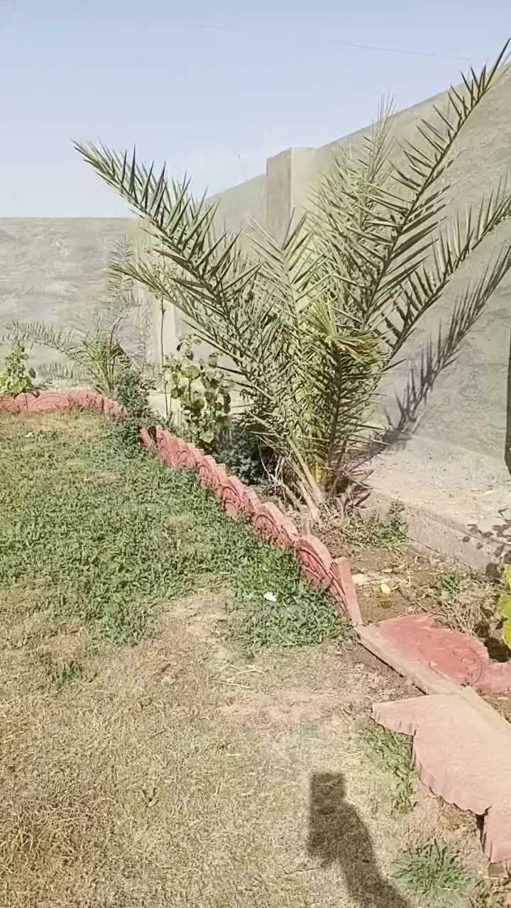 سلام عليكم بيت طابو زراعي 25 إقرار محكمه مساحه 900 متر يحتوي على غرفتين نوم صاله داخليه استقبال هول مطبخ مضيف خارجي البيت والمضيف كله سيراميك ابوغريب حي الرساله طريق المخيمات
***********//////***********
