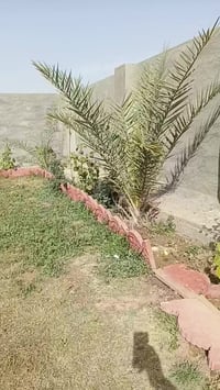 بيت طابو زراعي 25 إقرار محكمه مساحه 900 متر يحتوي على غرفتين نوم صاله ...