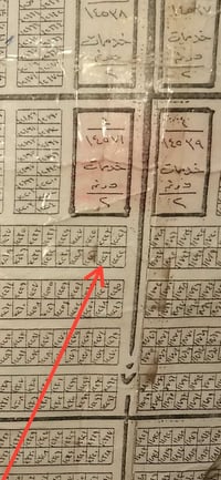 بصف المدرسه الجديده • ٢٥٠م • قطعة ١٢٢٢٤