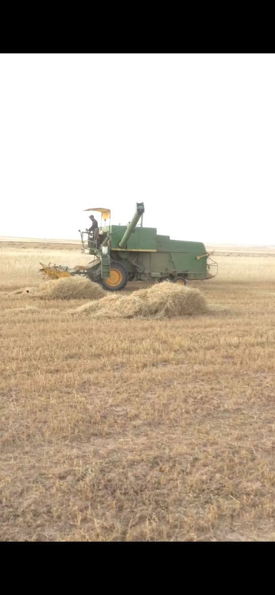 سلام عليكم 
مكلف بالنشر 
دؤاسه جوندير
موديل ٨٠

سعر ١٢ مليون
العنوان ناحية العياضية
***********
