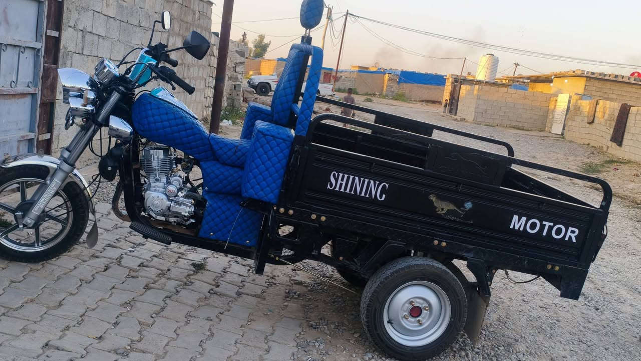 للبيع
ستوته موديل 23 فحل عالي 
عنوان كركوك واحد حزيران
