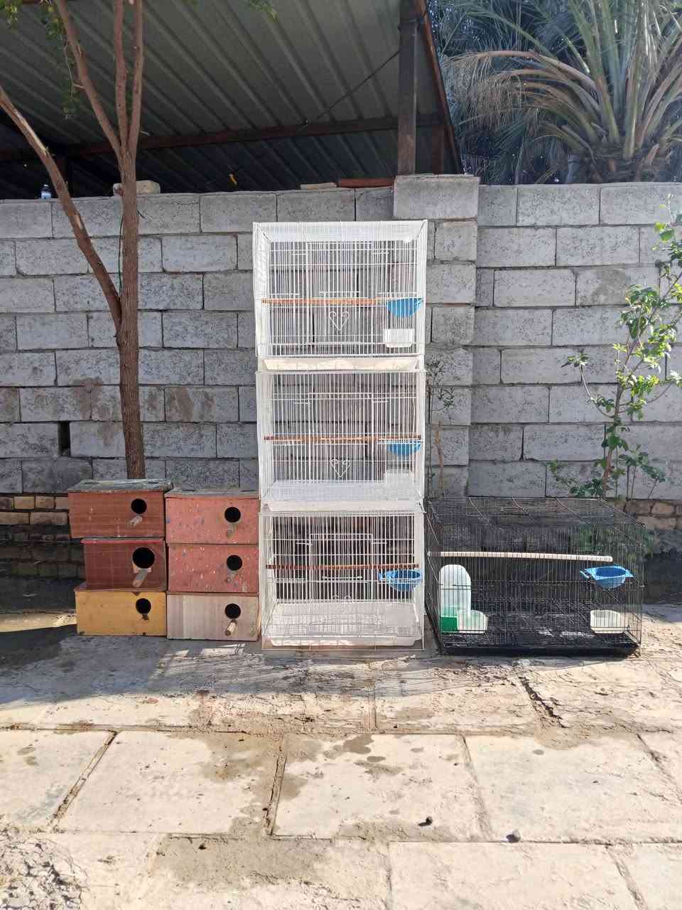 متاح اربع خانات مع ست بيوت الخانات البيض استعمال شهر السعر خاص


**إذا كنت صاحب هذا الإعلان وتريد حذفه لأي سبب، رجاءا أرسل رسالة إلى الدعم الفني**