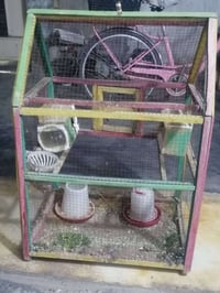قفص • شهربان