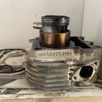 بوشه ماكس • بستم جديد • الديوانية