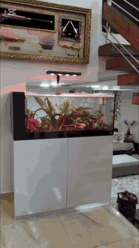 #اناقة . #متانة . #حرفية بالتصميم . #ضمان ….   الغوص في بحرٍ من الحياة...