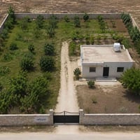 الدبسة • دونم مع بيت • طابو زراعي