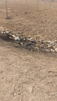 الدونم للبيع العنوان المسيب طريق ابو الجاسم حي المهندسين سند 25 زراعي ...