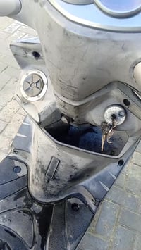 سكنس فحل • كابريتر • ١٠٠