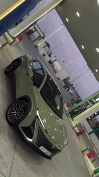 شانجان • ٢٠٢٣ • بدون صبغ