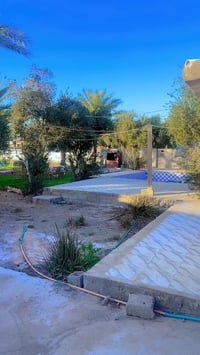 المدائن الورديه • دونم • ملك صرف