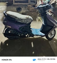 فراشه • غراض بسيطة • النجف