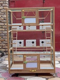 قفص خشبي • ارتفاع ١.٥م • ٦ بيوت