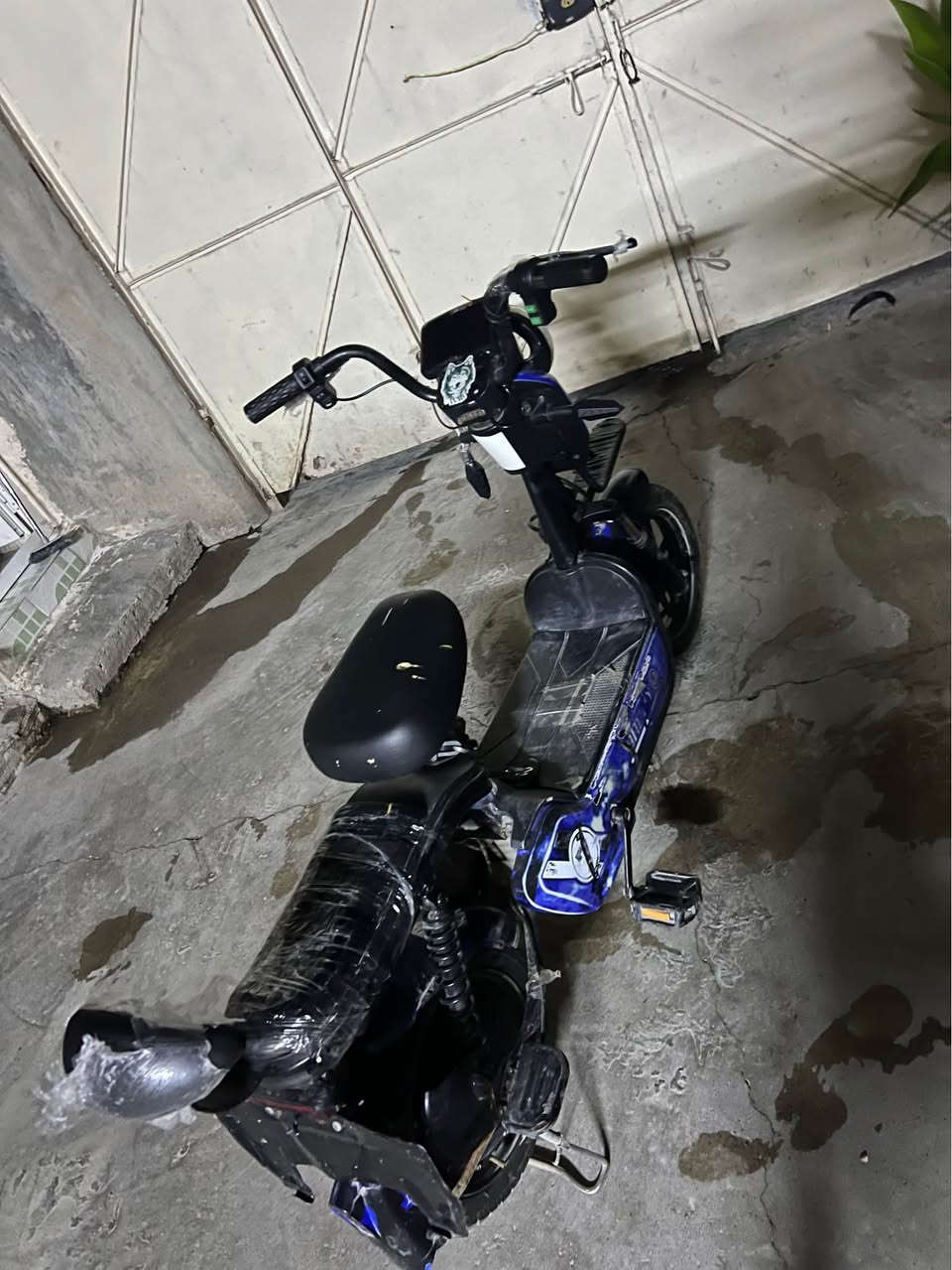 سلاو ئەم پاسکل شەحنە بۆ فرۆشتن نرخی ١٨٠ هەزار مەحەمەلەشی تێدایە أربيل, العراق


**إذا كنت صاحب هذا الإعلان وتريد حذفه لأي سبب، رجاءا أرسل رسالة إلى الدعم الفني**
