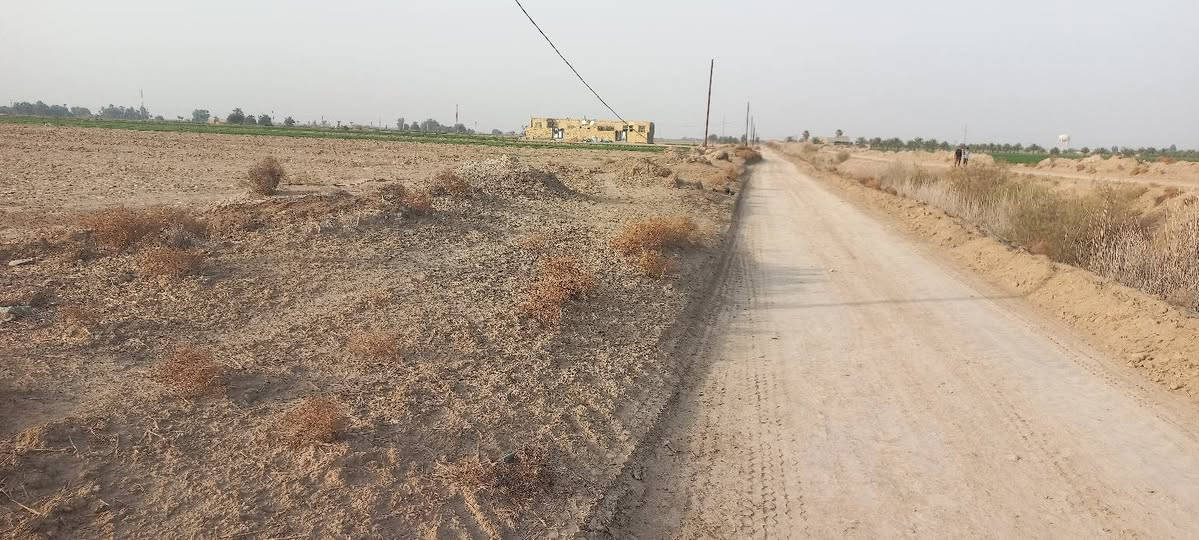 السلام عليكم كاع للبيع طابو زراعي سند ٢٥ خمس دوانم ماء كهرباء مقابيل معمل الزفت *********** ابيع كلهن السعر ٢٥ واني خادم
