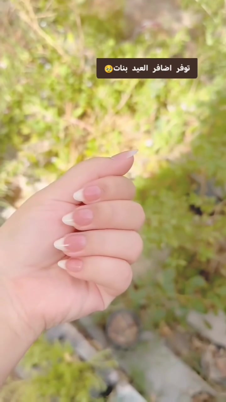 ستوري)
"أظافر كورية.. لإطلالة مفعمة بالأنوثة." 💅✨
​"الجمال الكوري وصل! جاهزة للتغيير؟"
​"أظافر الأحلام.. ألوان تدوم وتصاميم تبهر."
​"وفري وقتك وجهدك واحصل على لوك الصالونات بلمسة كورية ساحرة

🔥🔥🔥


**إذا كنت صاحب هذا الإعلان وتريد حذفه لأي سبب، رجاءا أرسل رسالة إلى الدعم الفني**